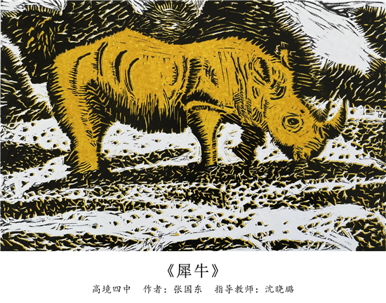 《犀牛》高境四中 张国东 指导教师：沈晓璐.jpg